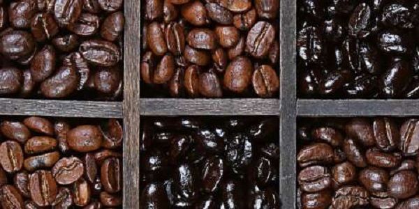 خرید عمده قهوه درجه یک به قیمت کارخانه