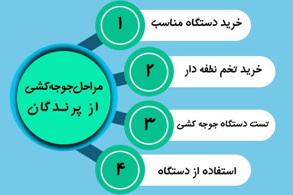 مراحل جوجه کشی