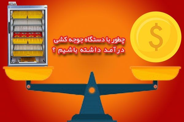 درآمد با دستگاه جوجه کشی
