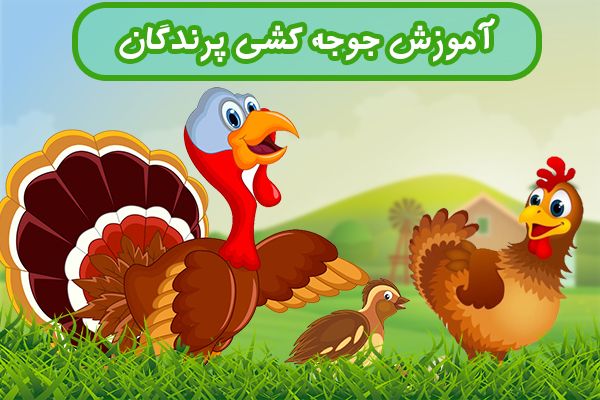 آموزش جوجه کشی پرندگان