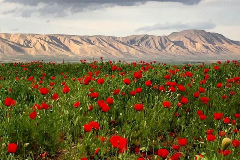 ویلا شهریار