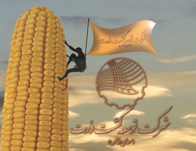 شرکت توسعه کشت ذرت