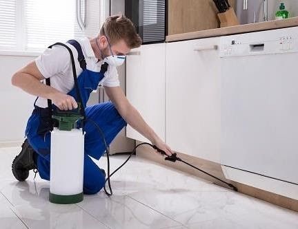 Necessary tips in spraying houses