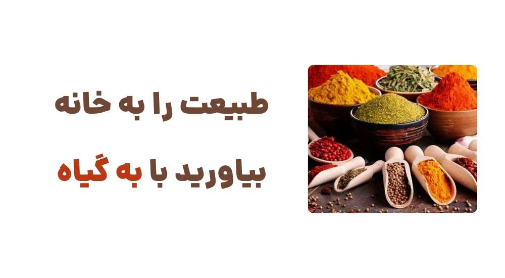 طبیعت را به خانه بیاورید با به گیاه