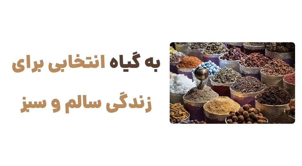 به گیاه، انتخابی برای زندگی سالم و سبز