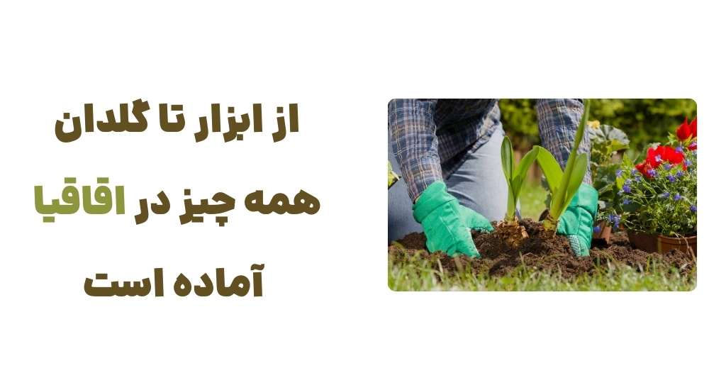 از ابزار تا گلدان، همه چیز در اقاقیا آماده است.ژ