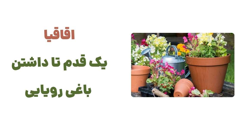 اقاقیا، یک قدم تا داشتن باغی رویایی.j
