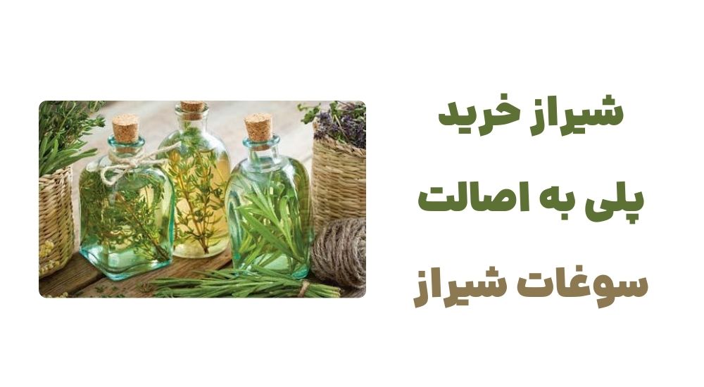 رونمایی از وبسایت شیراز خرید: تجربهای نوین در خرید سوغات شیراز 2 شیراز خرید، پلی به اصالت سوغات شیراز