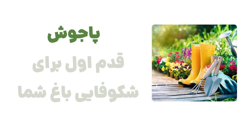 پاجوش، قدم اول برای شکوفایی باغ شما