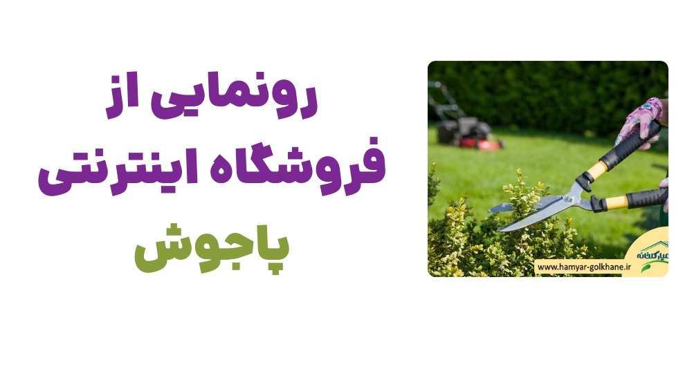 رونمایی از فروشگاه اینترنتی پاجوش