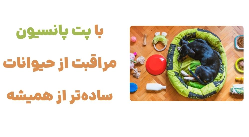 با پت پانسیون، مراقبت از حیوانات ساده_تر از همیشه