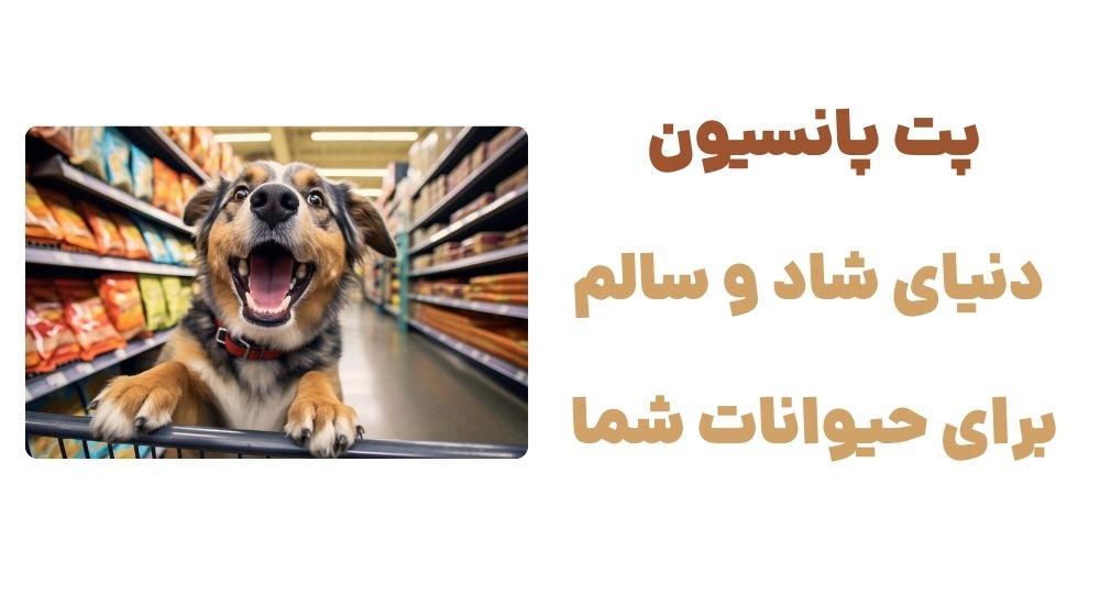پت پانسیون، دنیای شاد و سالم برای حیوانات شما