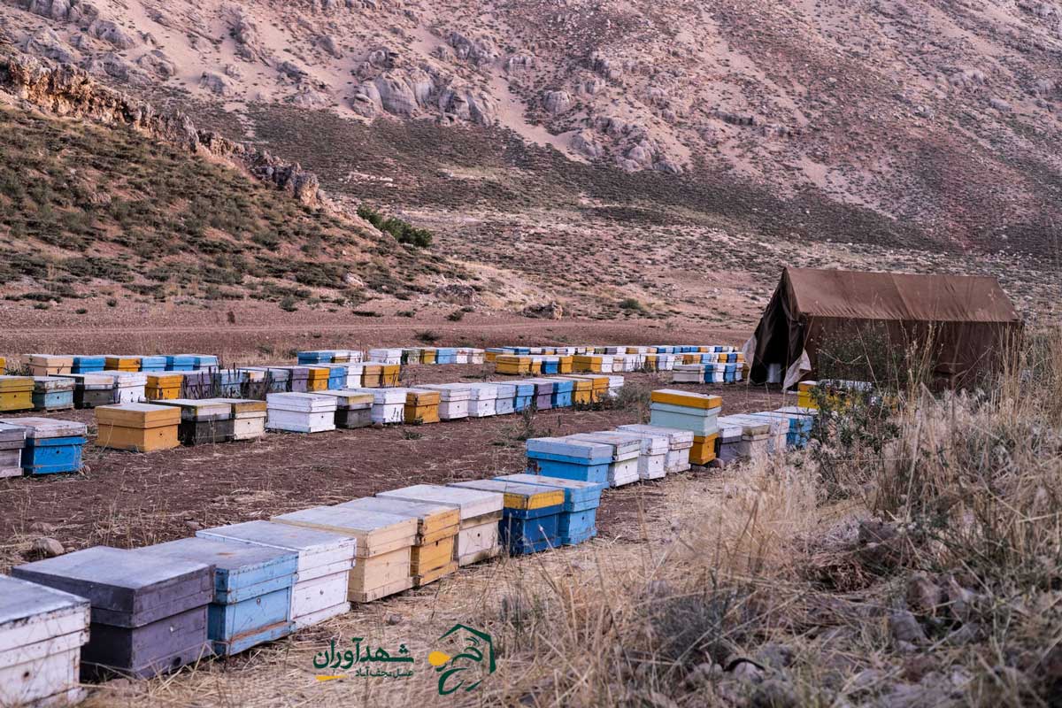 زنبورستان های شهدآوران