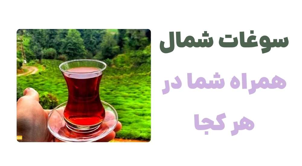 سوغات شمال، همراه شما در هر کجا