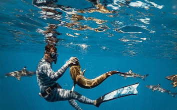 حمله کوسه به انسان در کیش؛ آیا باید نگران تفریحات دریایی باشیم؟ تور لحظه آخری کیش