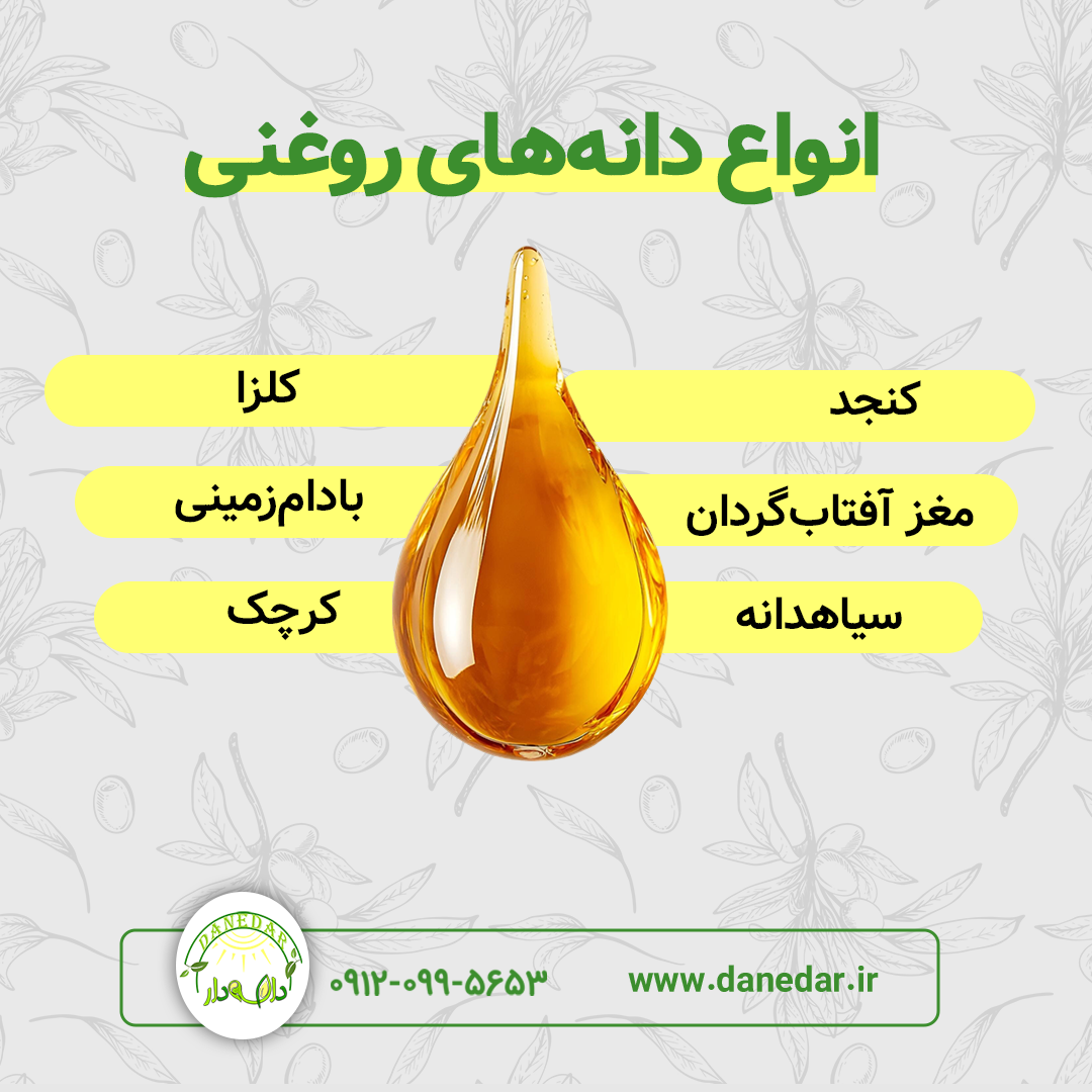 انواع دانه های روغنی