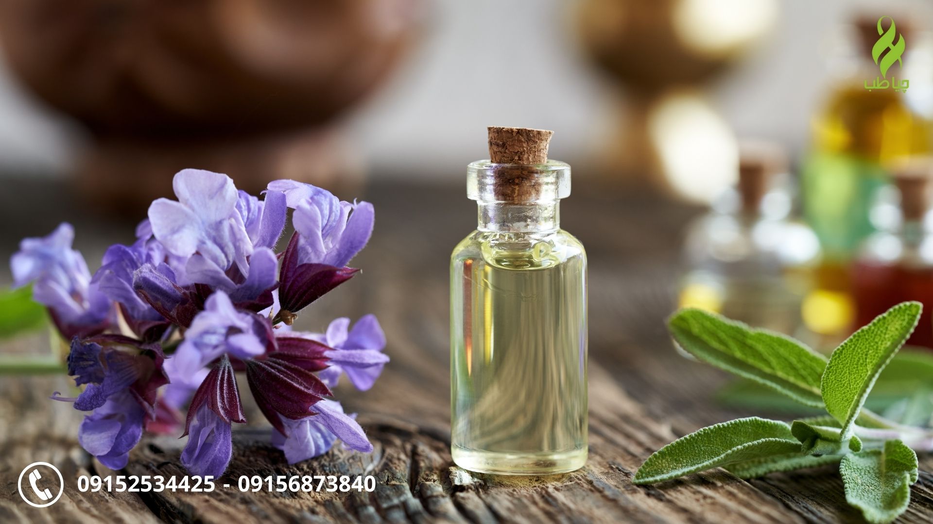 عطاری آنلاین چیا طب