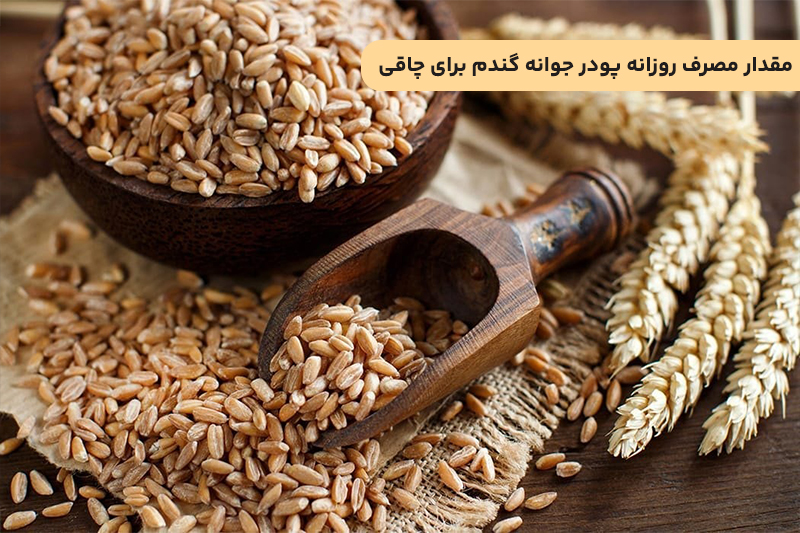 مقدار مصرف روزانه پودر جوانه گندم