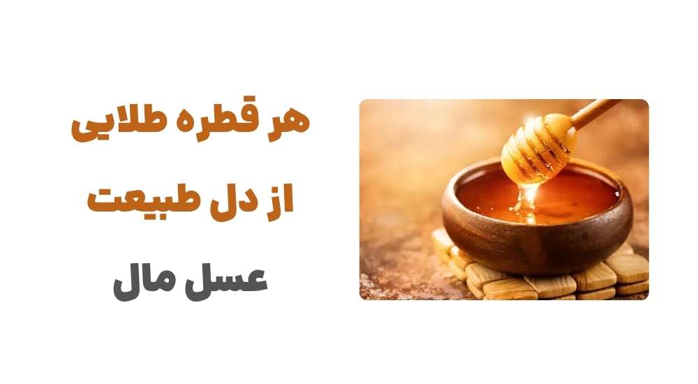 🍯 هر قطره، طلایی از دل طبیعت؛ عسل مال