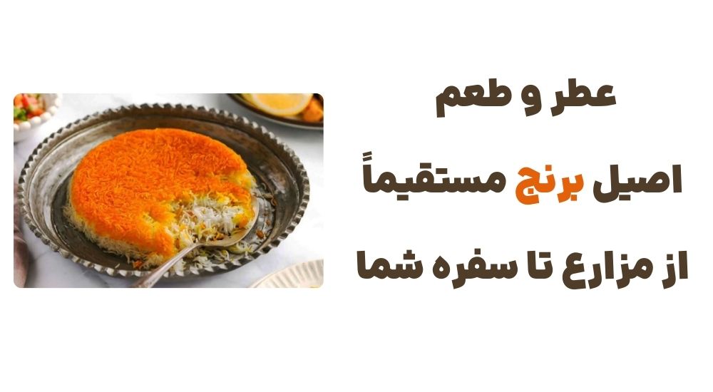عطر و طعم اصیل برنج، مستقیماً از مزارع تا سفره شما