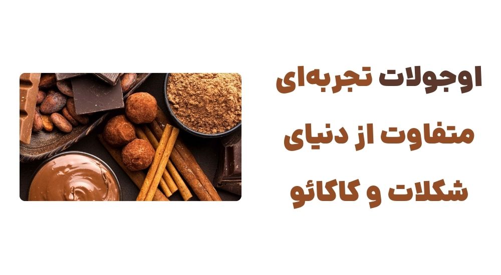 رونمایی از وبسایت اوجولات، فروشگاه اینترنتی شکلات و کاکائو 6 اوجولات؛ تجربه_ای متفاوت از دنیای شکلات و کاکائو