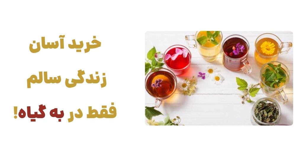 خرید آسان، زندگی سالم – فقط در به گیاه