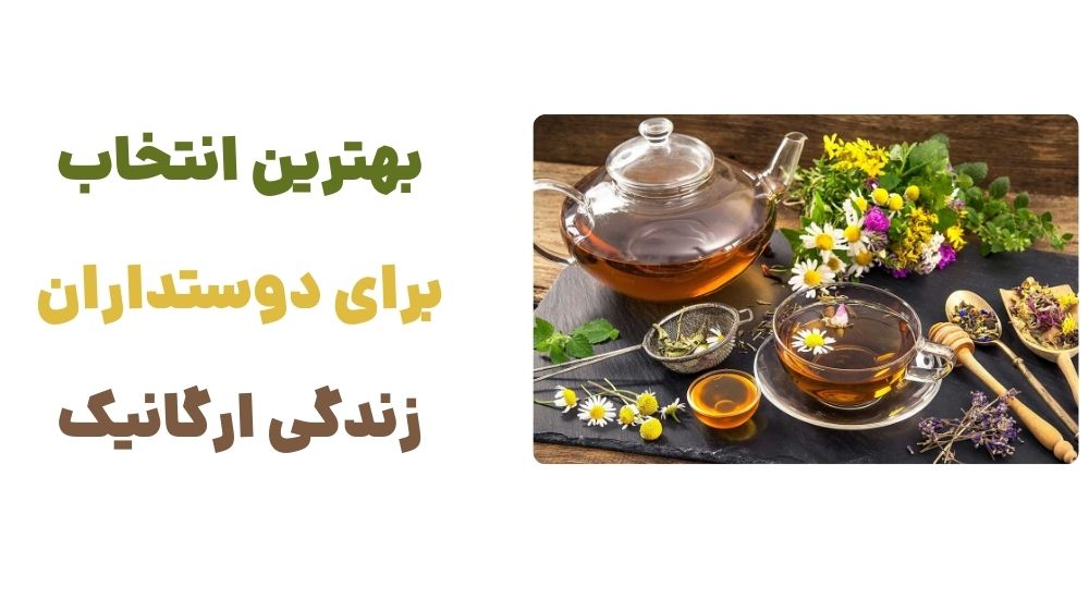 بهترین انتخاب برای دوستداران زندگی ارگانیک