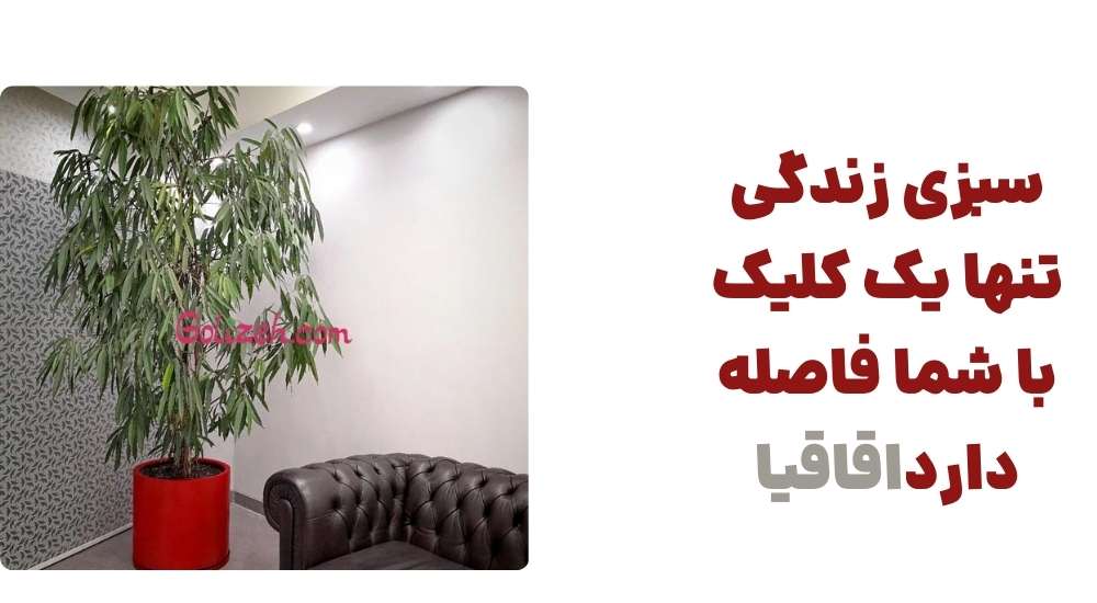 سبزی زندگی تنها یک کلیک با شما فاصله دارداقاقیا