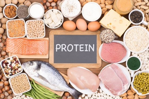 پودر پروتئین گیاهی و عضله ساز + راهنمایی کامل