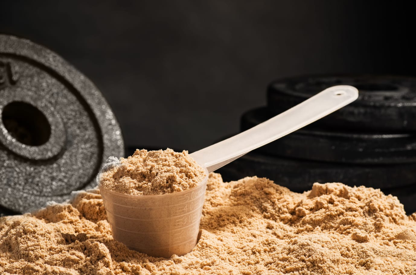 پودر پروتئین گیاهی و عضله ساز + راهنمایی کامل