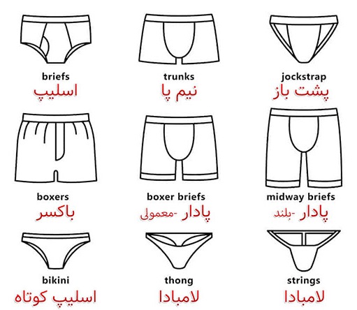 انواع شورت