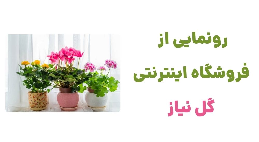 رونمایی از فروشگاه اینترنتی گل نیاز