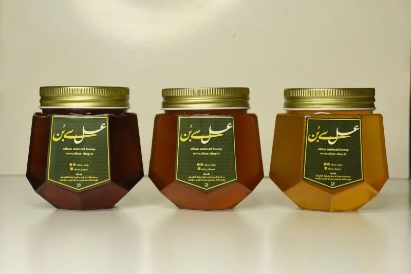سی بن