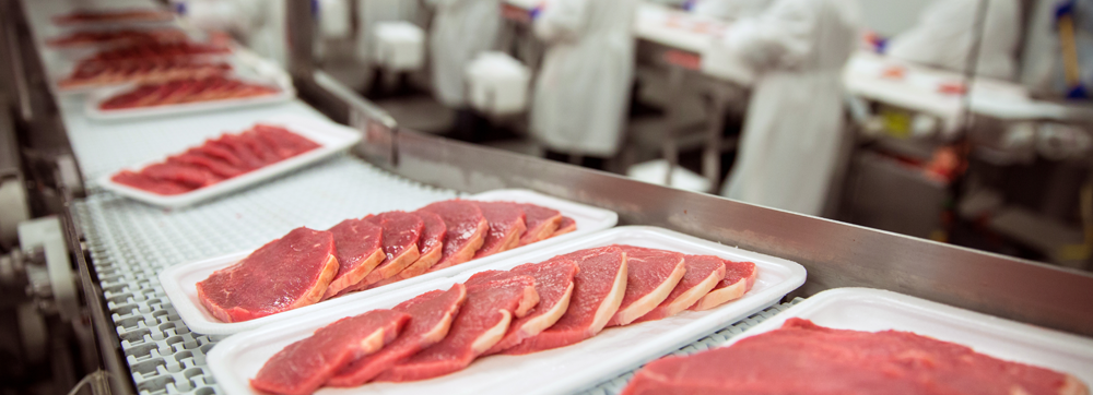 کاربرد تسمه نقاله مدولار