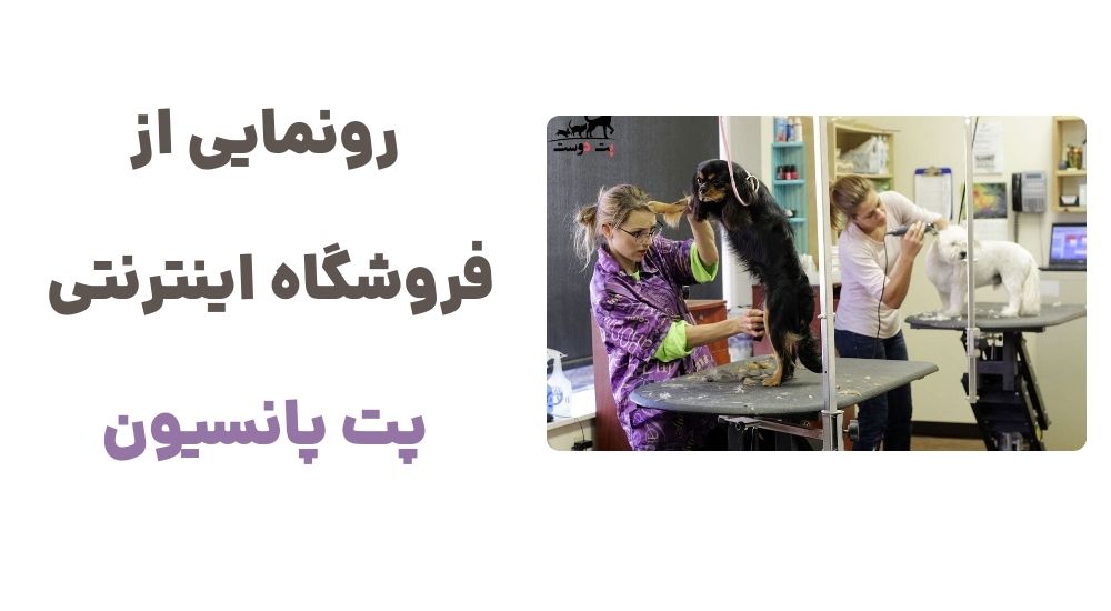 رونمایی از فروشگاه اینترنتی پت پانسیون