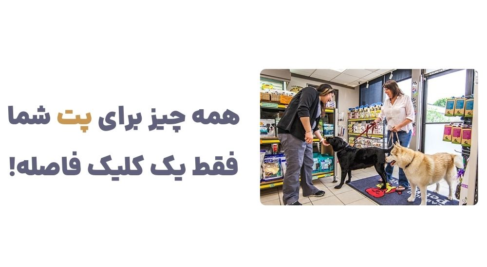 همه چیز برای پت شما، فقط یک کلیک فاصله