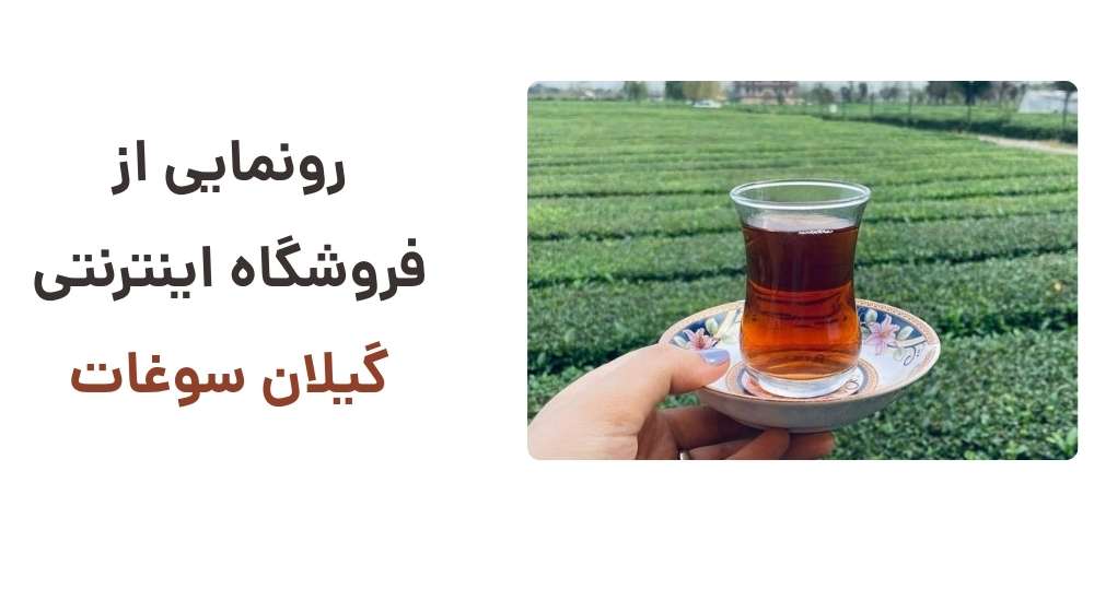 رونمایی از فروشگاه اینترنتی گیلان سوغات