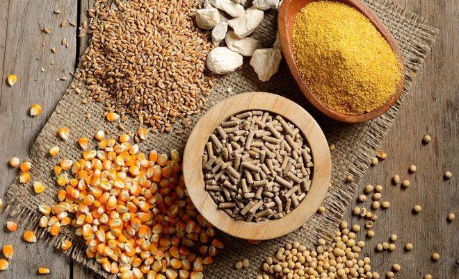معرفی بهترین محصولات و مواد اولیه مناسب خوراک دام و طیور