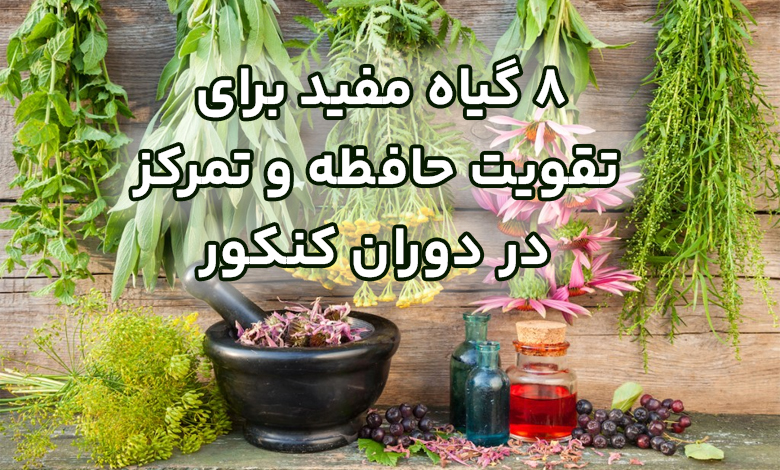 گیاهان مفید برای حافظه و یادگیری کنکوریها