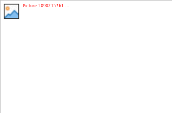 Picture 1090215761