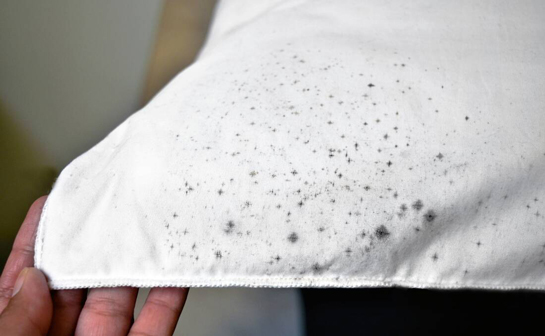 بهترین روش‌ های ضدعفونی لباس قارچی