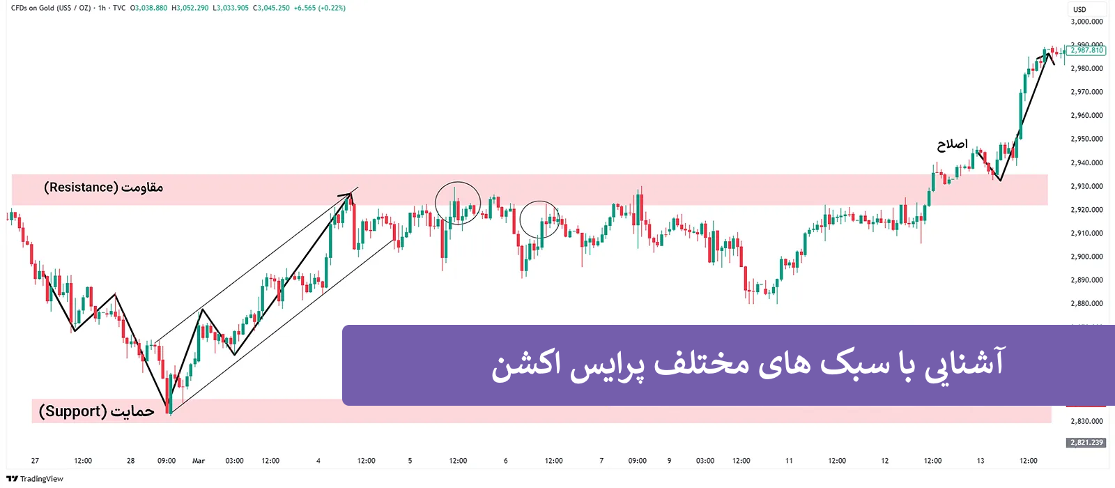 آشنایی با سبک های متفاوت در معامله با پرایس اکشن