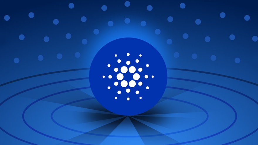پیش بینی قیمت کاردانو
