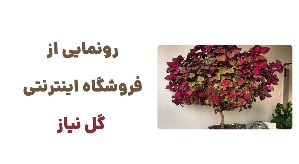رونمایی از  فروشگاه اینترنتی  گل نیاز