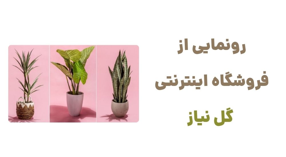 رونمایی از  فروشگاه اینترنتی  گل نیاز
