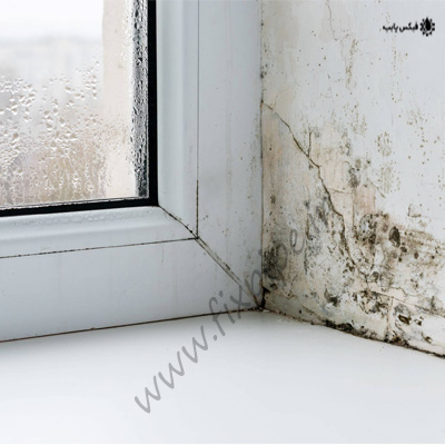 چطور بوی نم اتاق را از بین ببریم؟ – 10 روش آسان و کاربردی