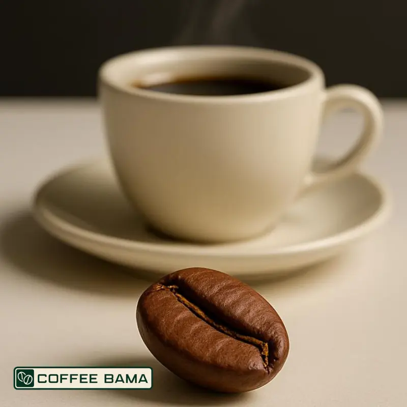 راز یک قهوه خوب از دانه تا فنجون!