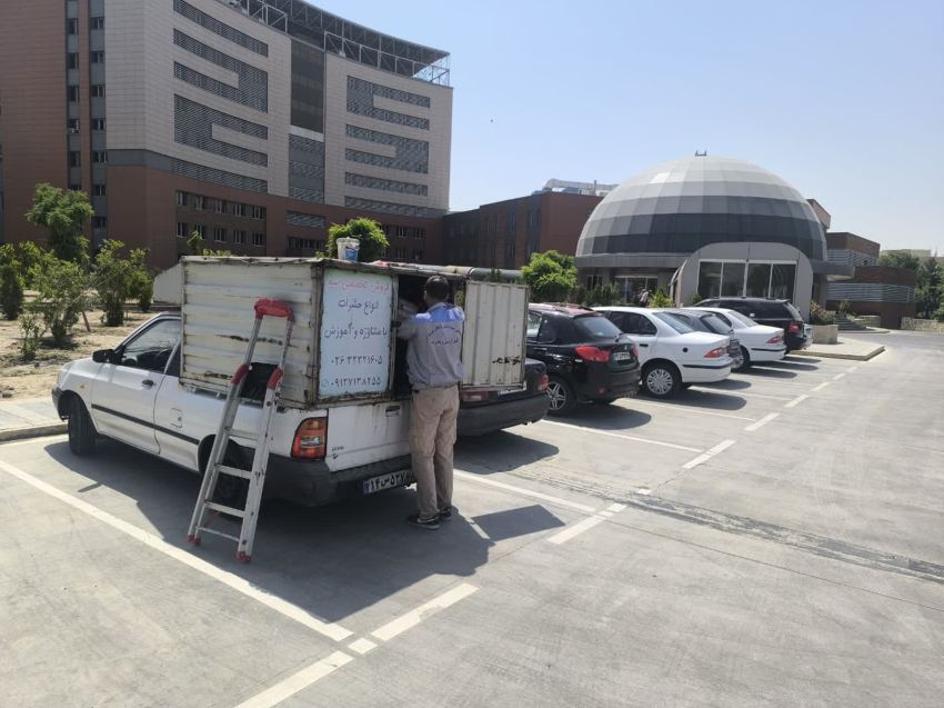 طعمه گذاری موش کرج