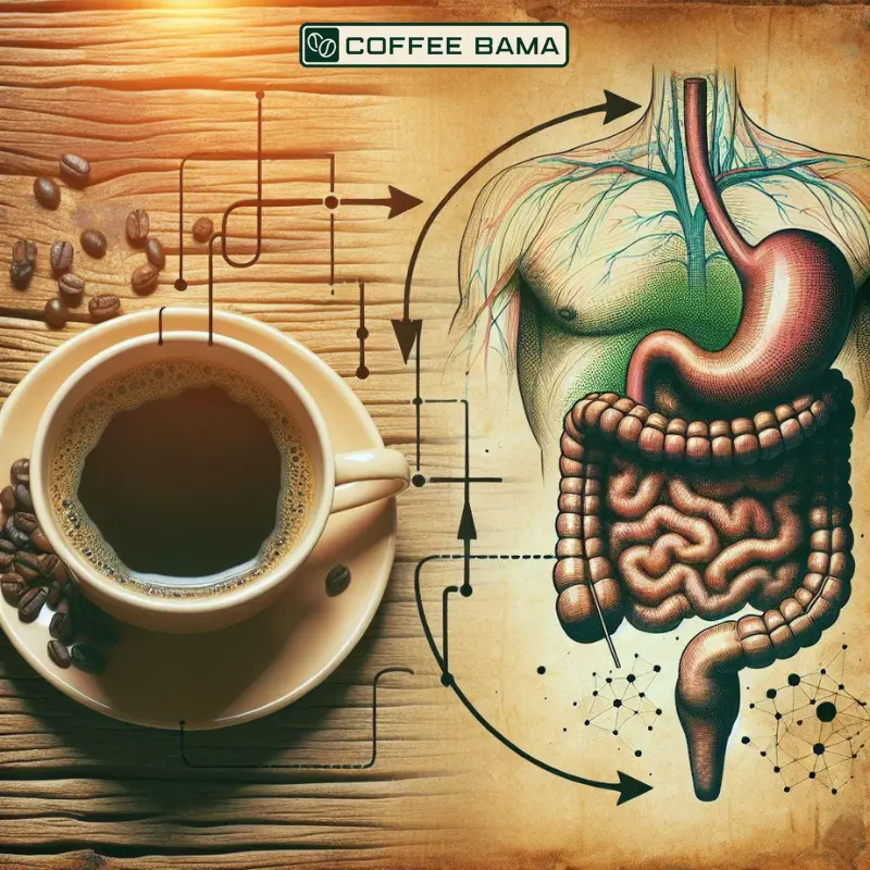 سوالات متداول درباره رابطه قهوه و معده