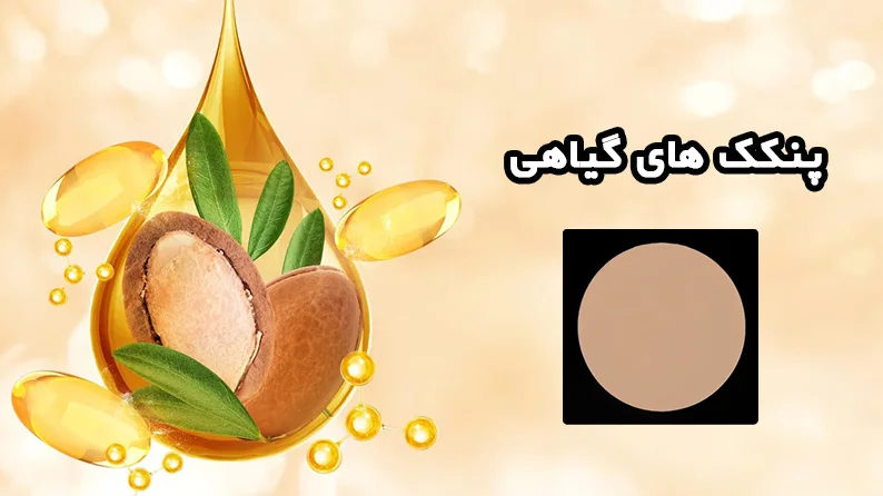 پنکک های گیاهی